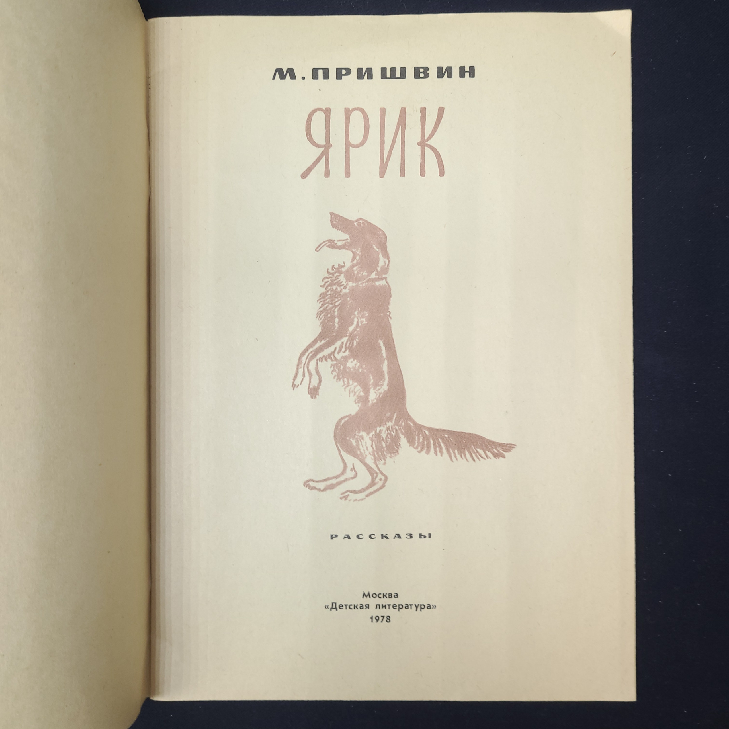 Картинка 3
