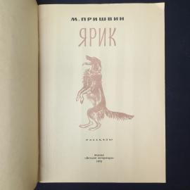 Картинка 3