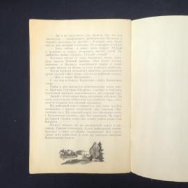 Картинка 5
