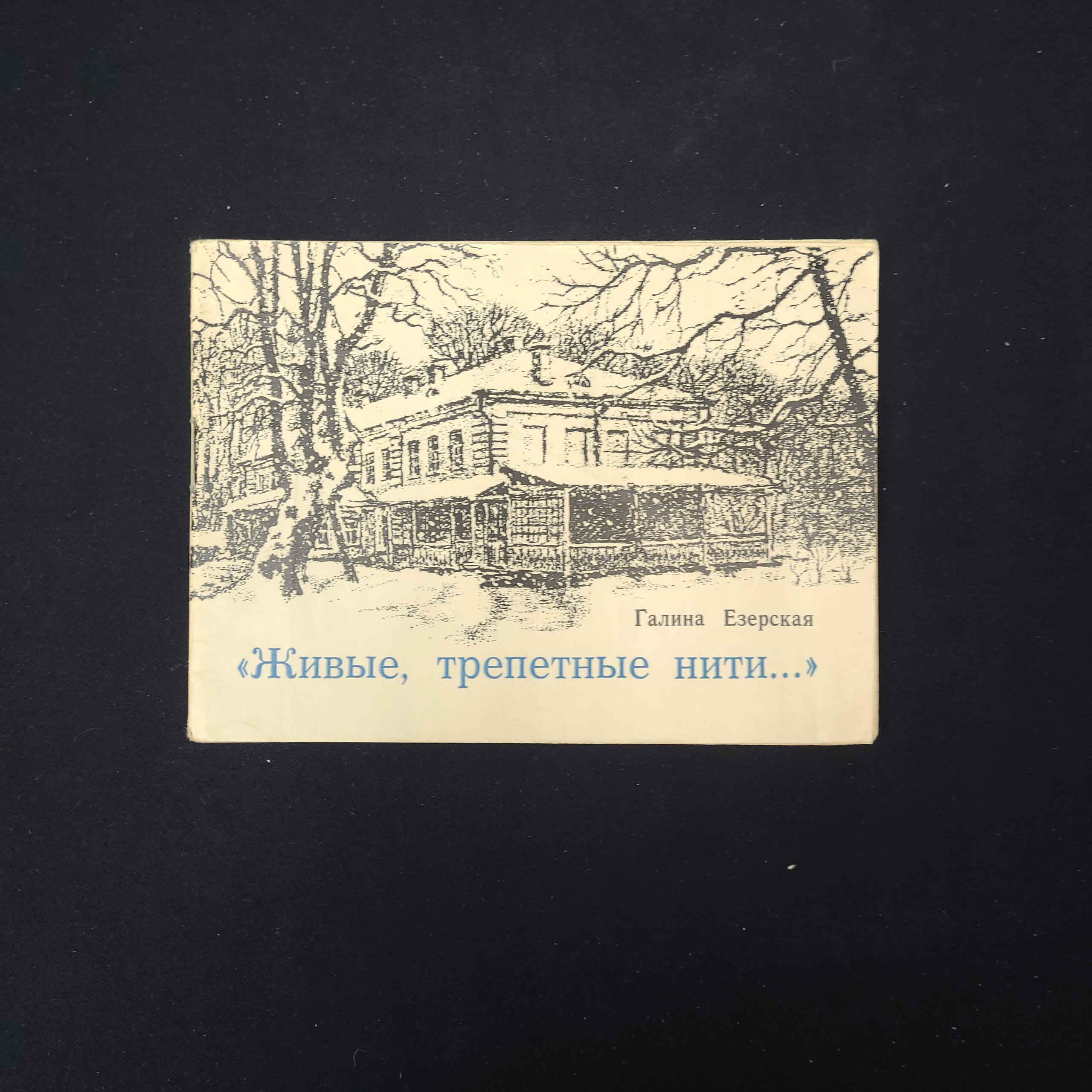 Картинка 1