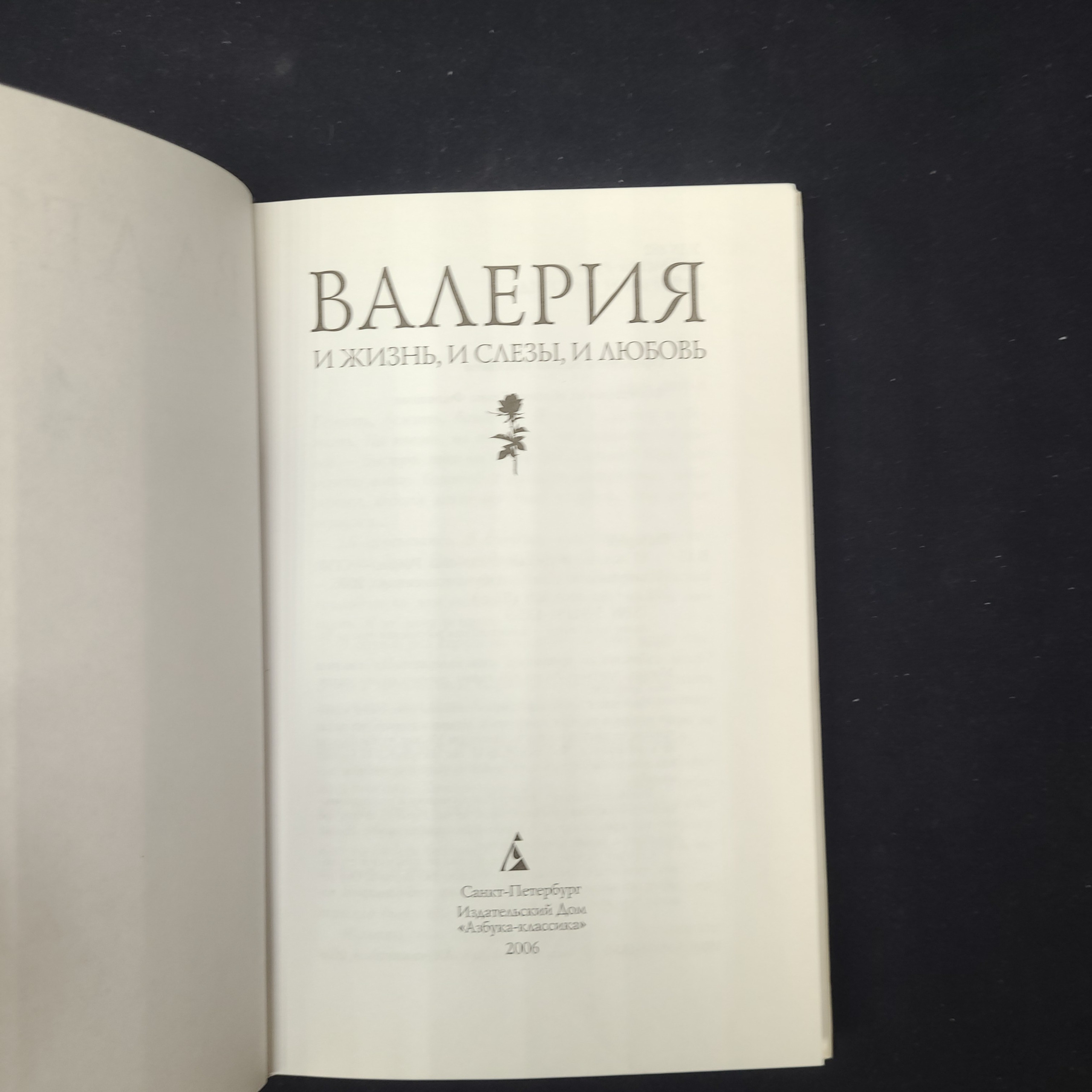 Картинка 4