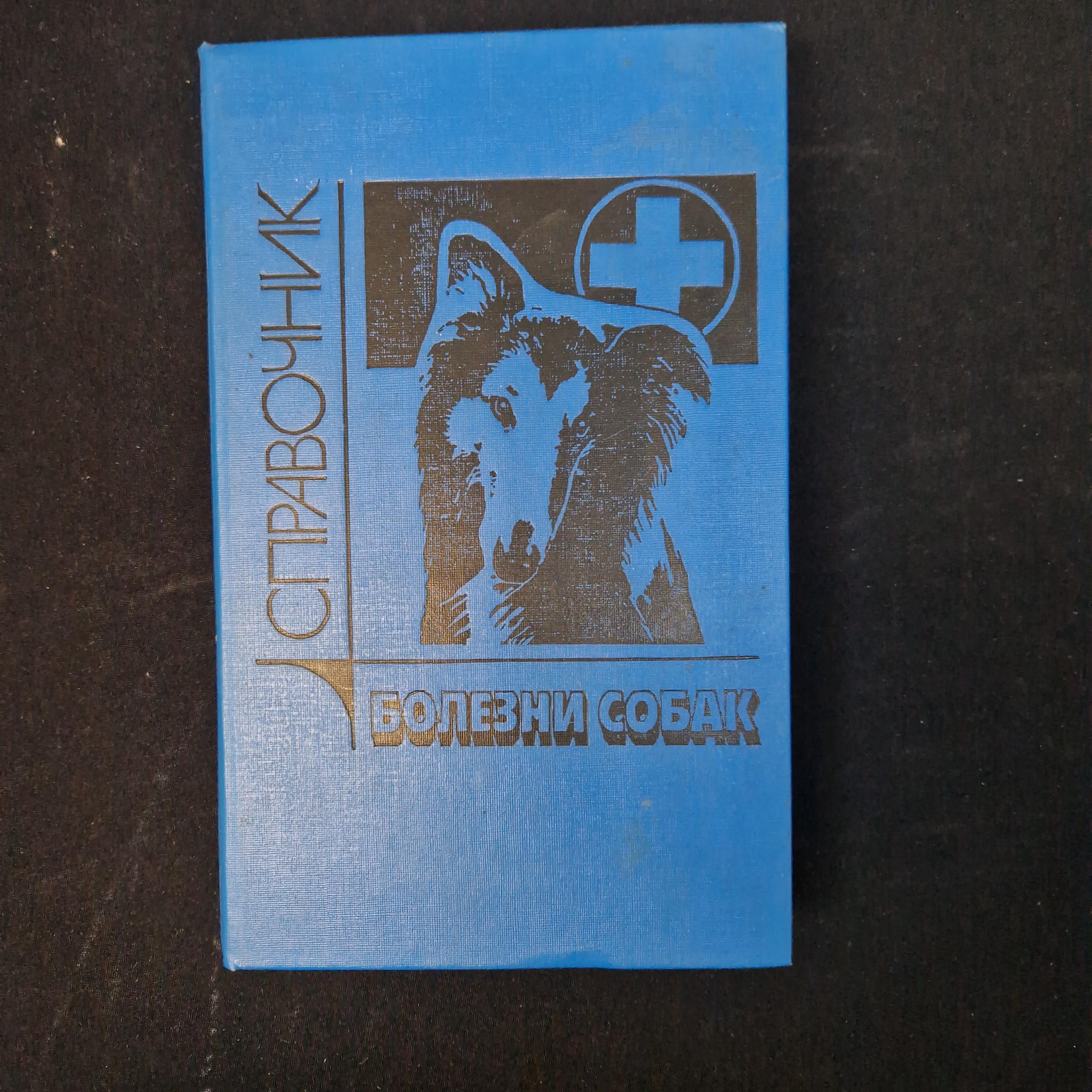 Картинка 1
