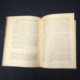Картинка 5