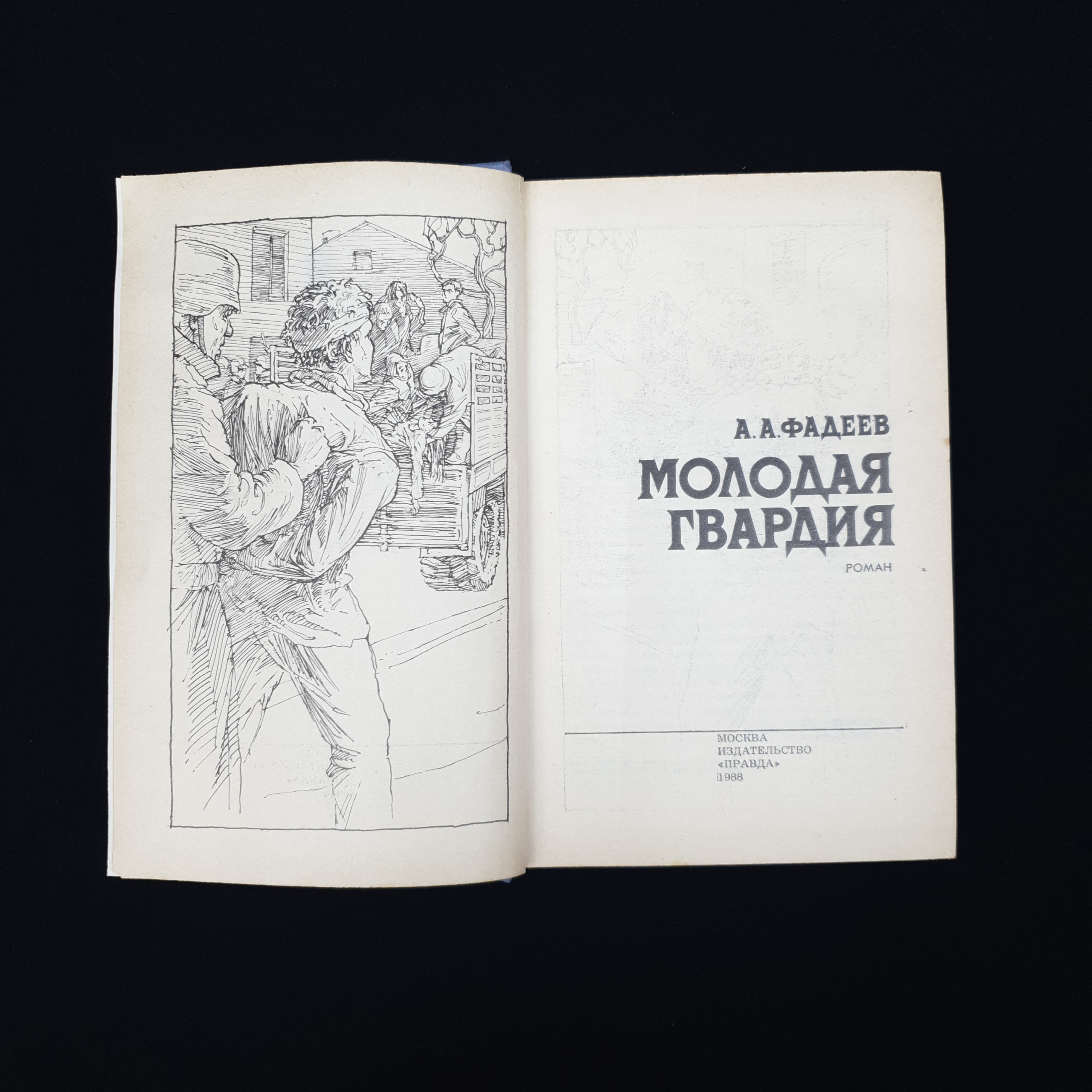 Картинка 2