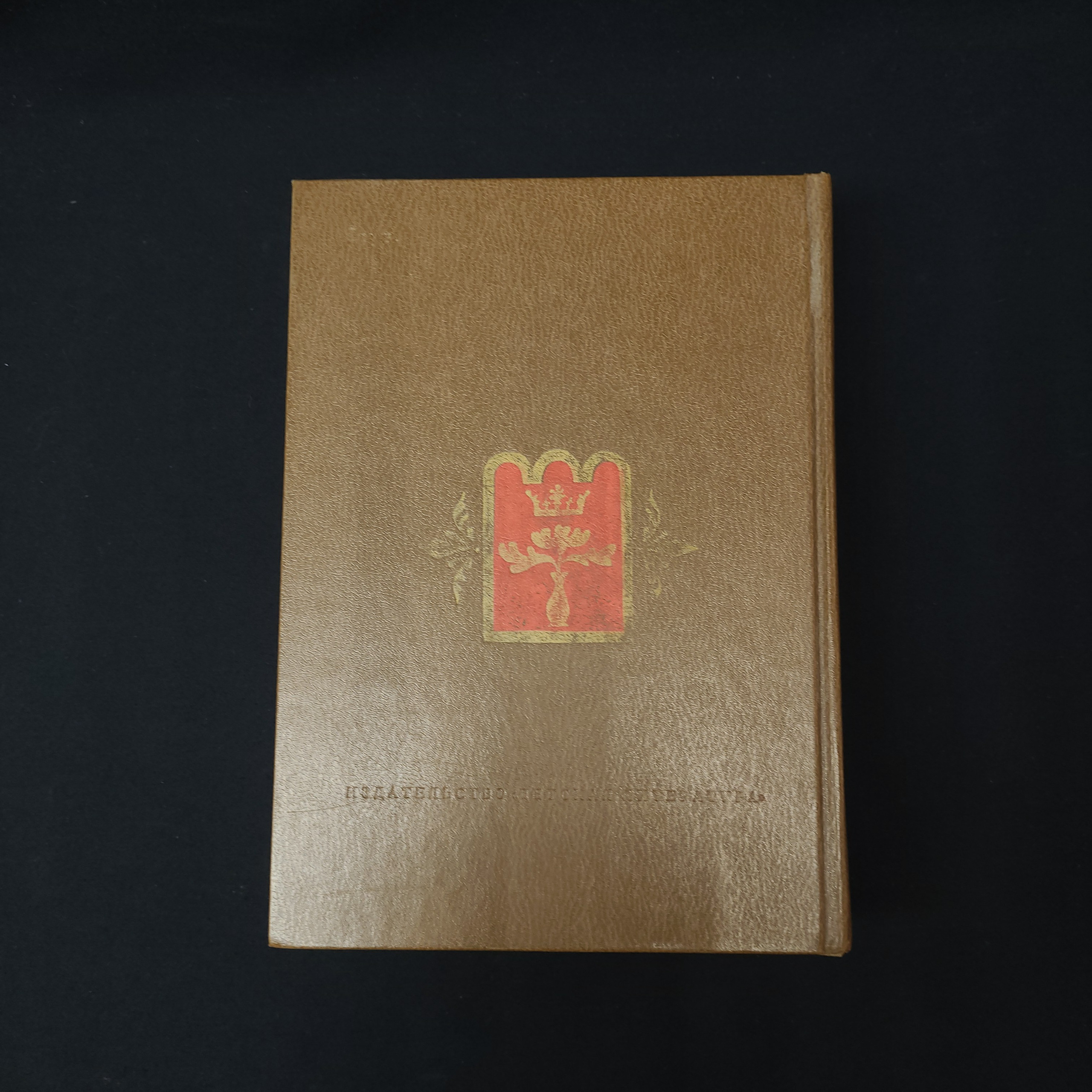 Картинка 5