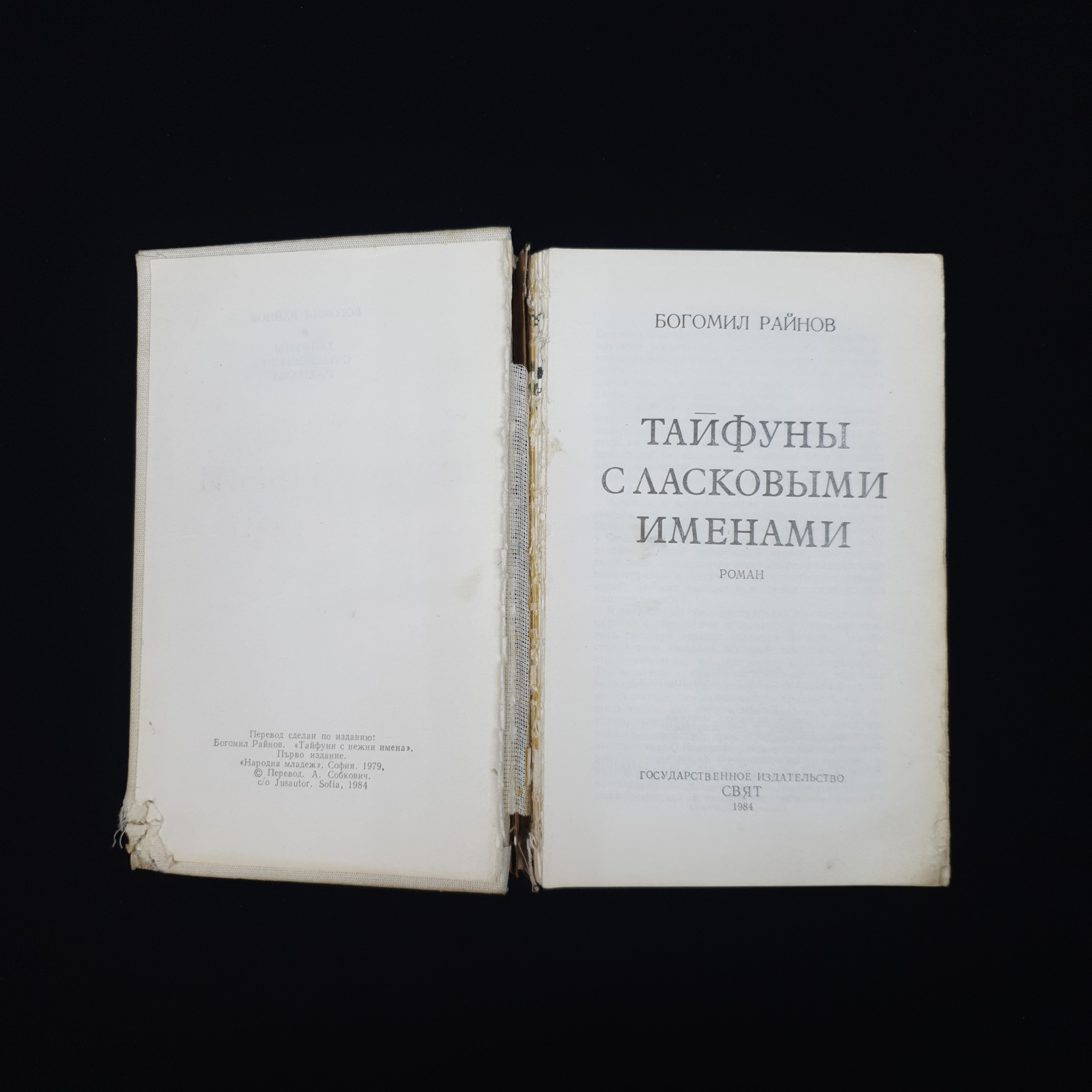 Картинка 2