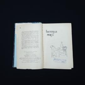 Картинка 3