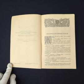 Картинка 4