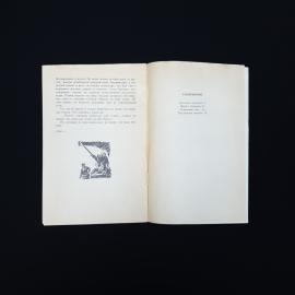 Картинка 5