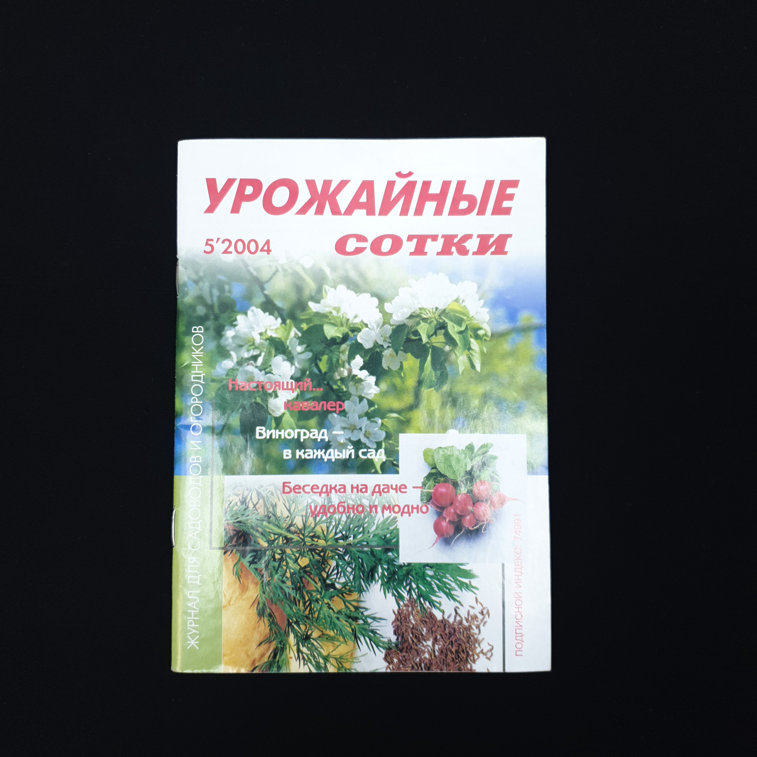 Картинка 1