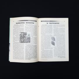 Картинка 4