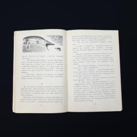 Картинка 4