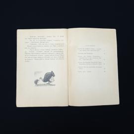 Картинка 5