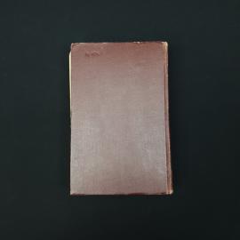 Картинка 3