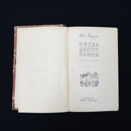 Картинка 4