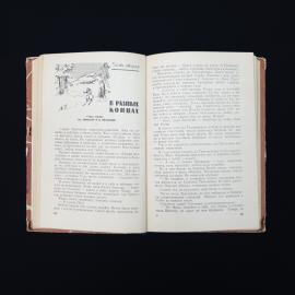 Картинка 5