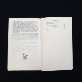 Картинка 6