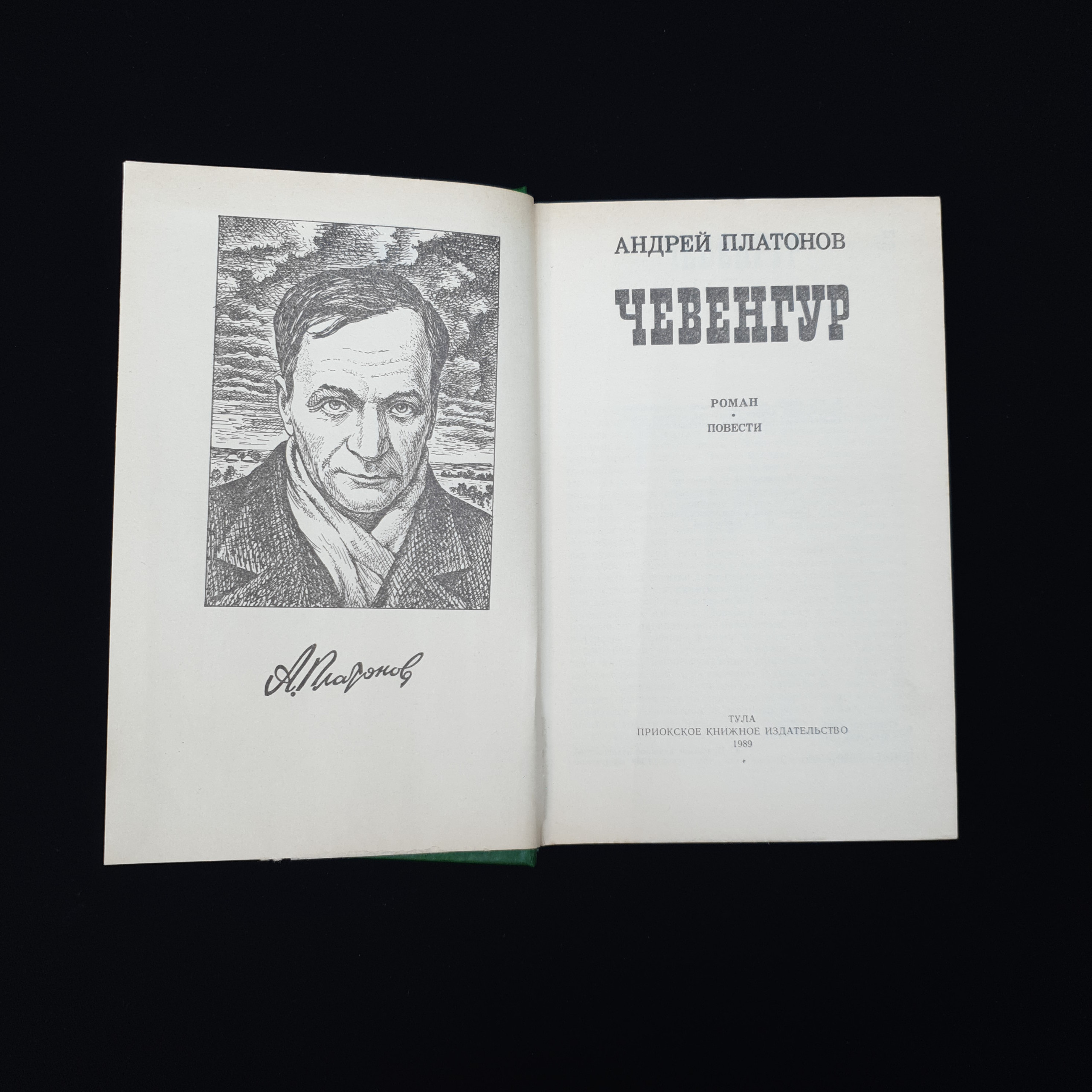 Картинка 4