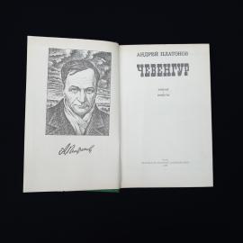 Картинка 4