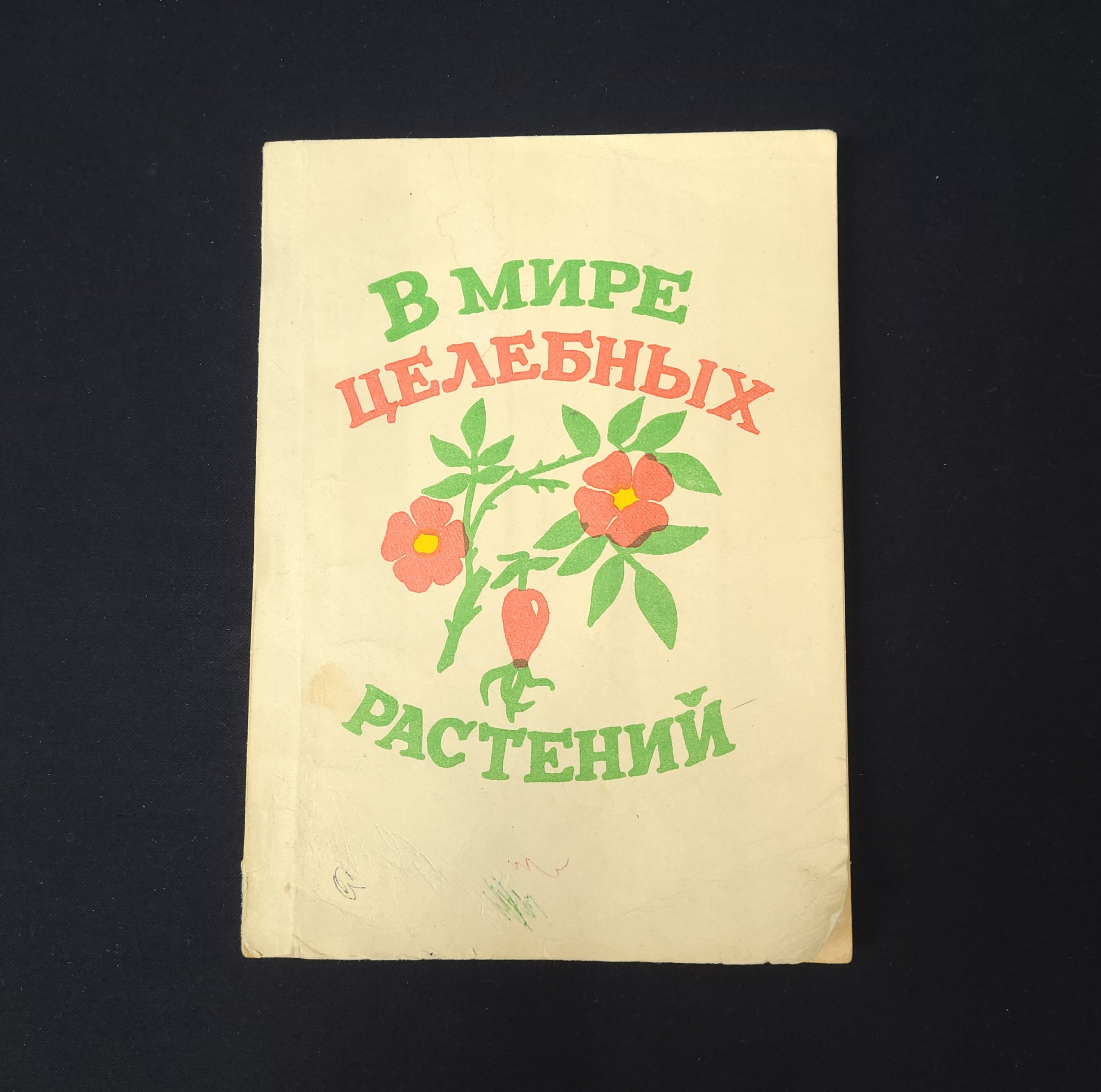 Картинка 1
