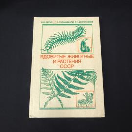 Картинка 1