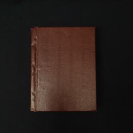 Картинка 2