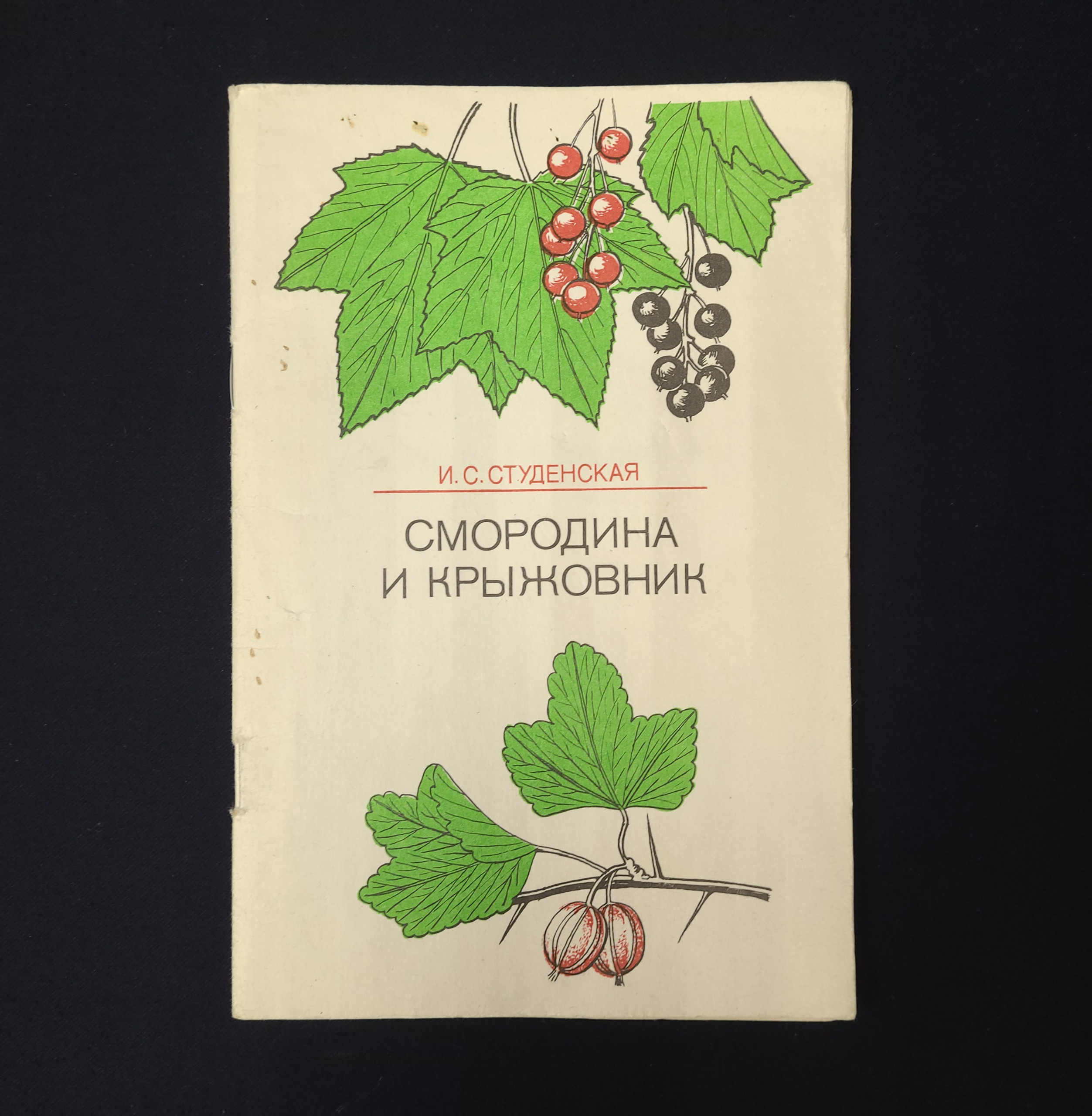 Картинка 1