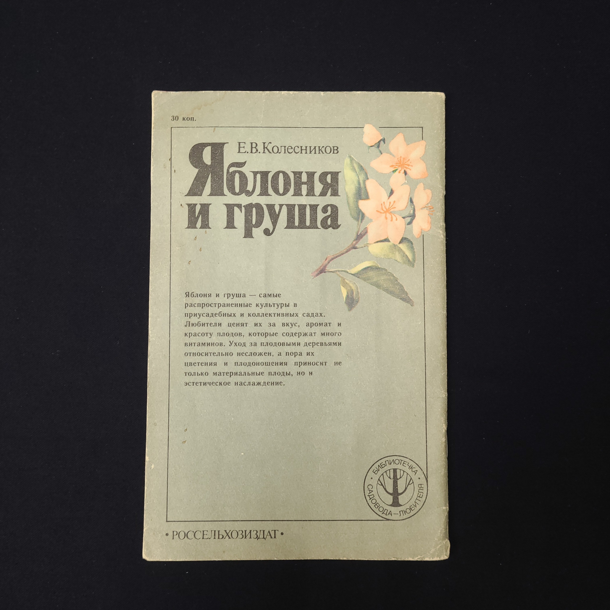 Картинка 2