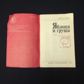 Картинка 3