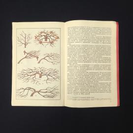 Картинка 4