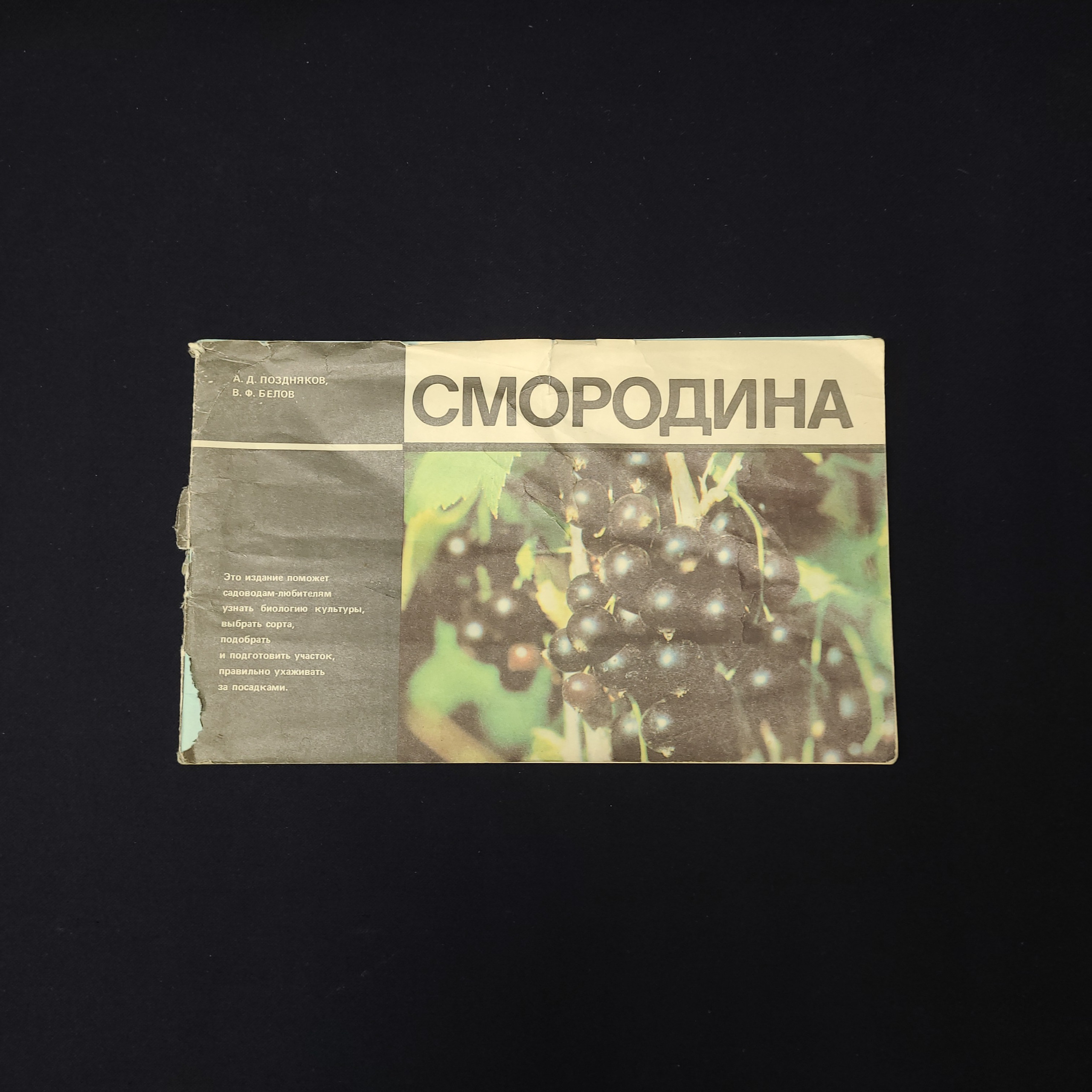 Картинка 1