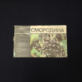 Александр Поздняков. Смородина. Книга СССР, садоводство