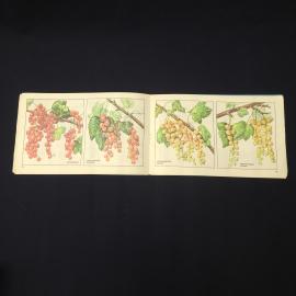 Картинка 4