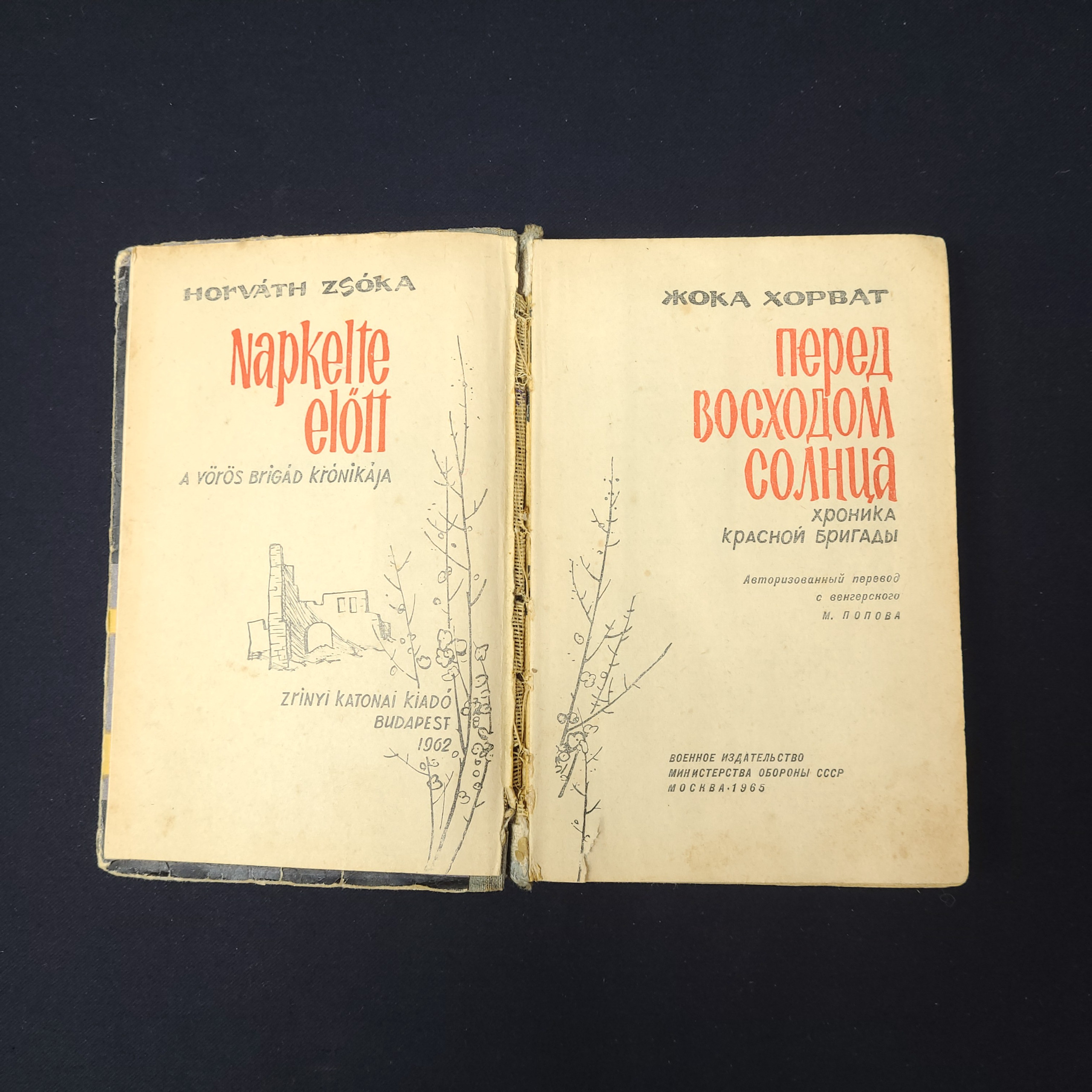 Картинка 4