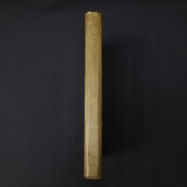 Картинка 2