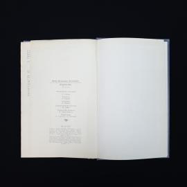Картинка 7