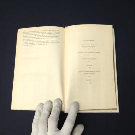 Картинка 6