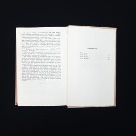 Картинка 6