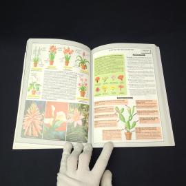 Картинка 6
