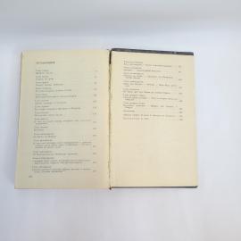 Картинка 8