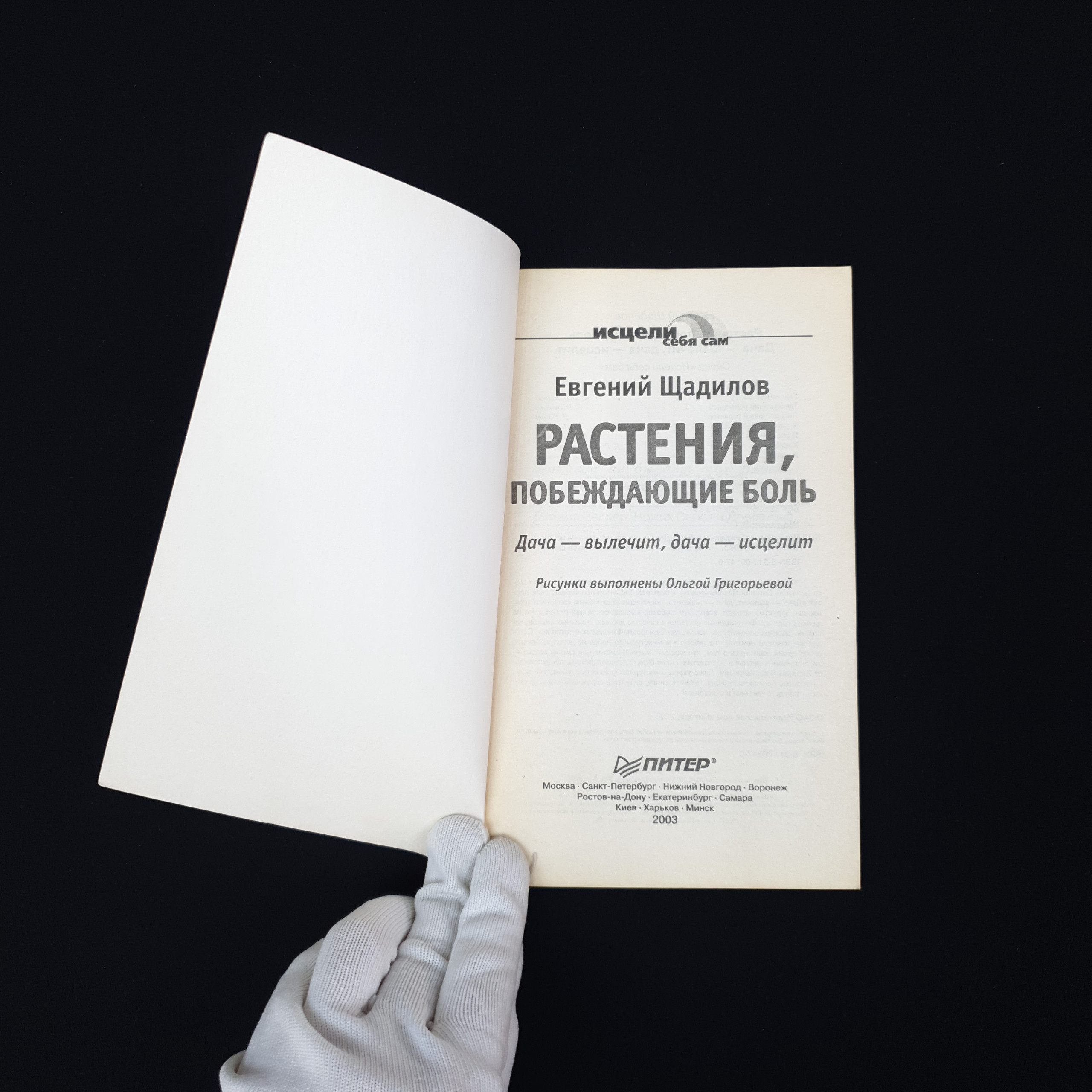 Картинка 4