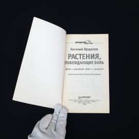 Картинка 4
