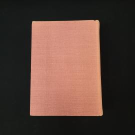 Картинка 3