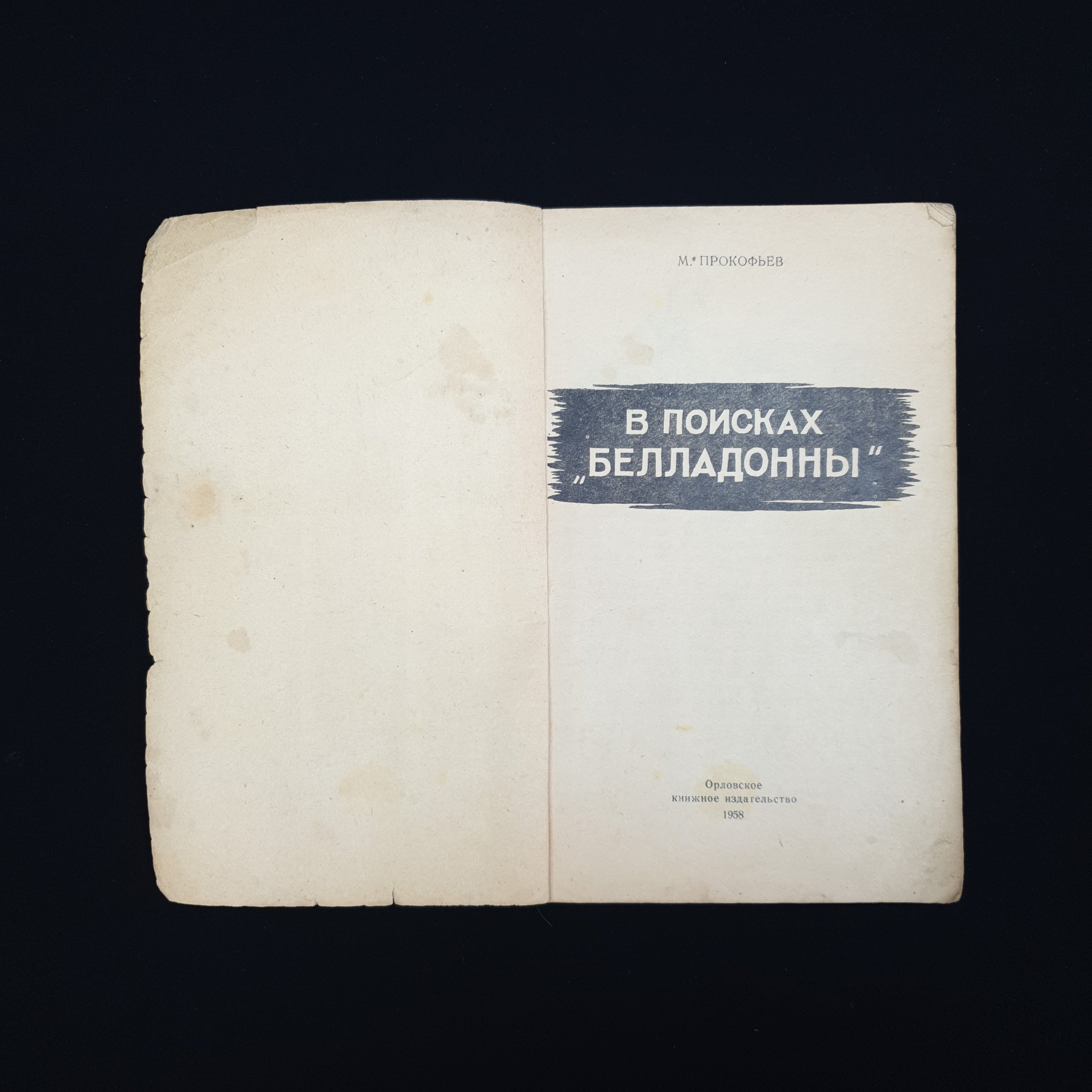 Картинка 4