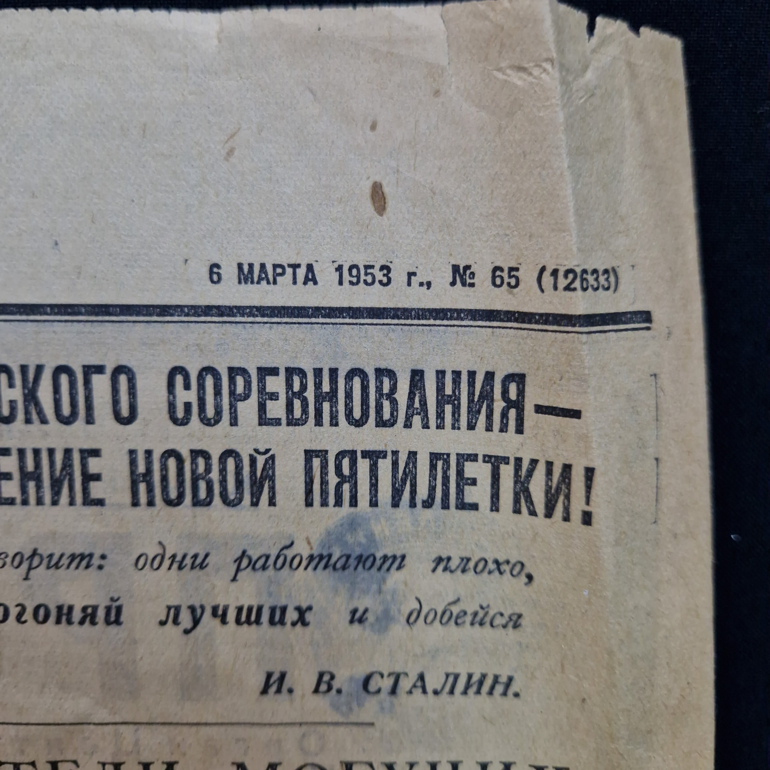 Картинка 3
