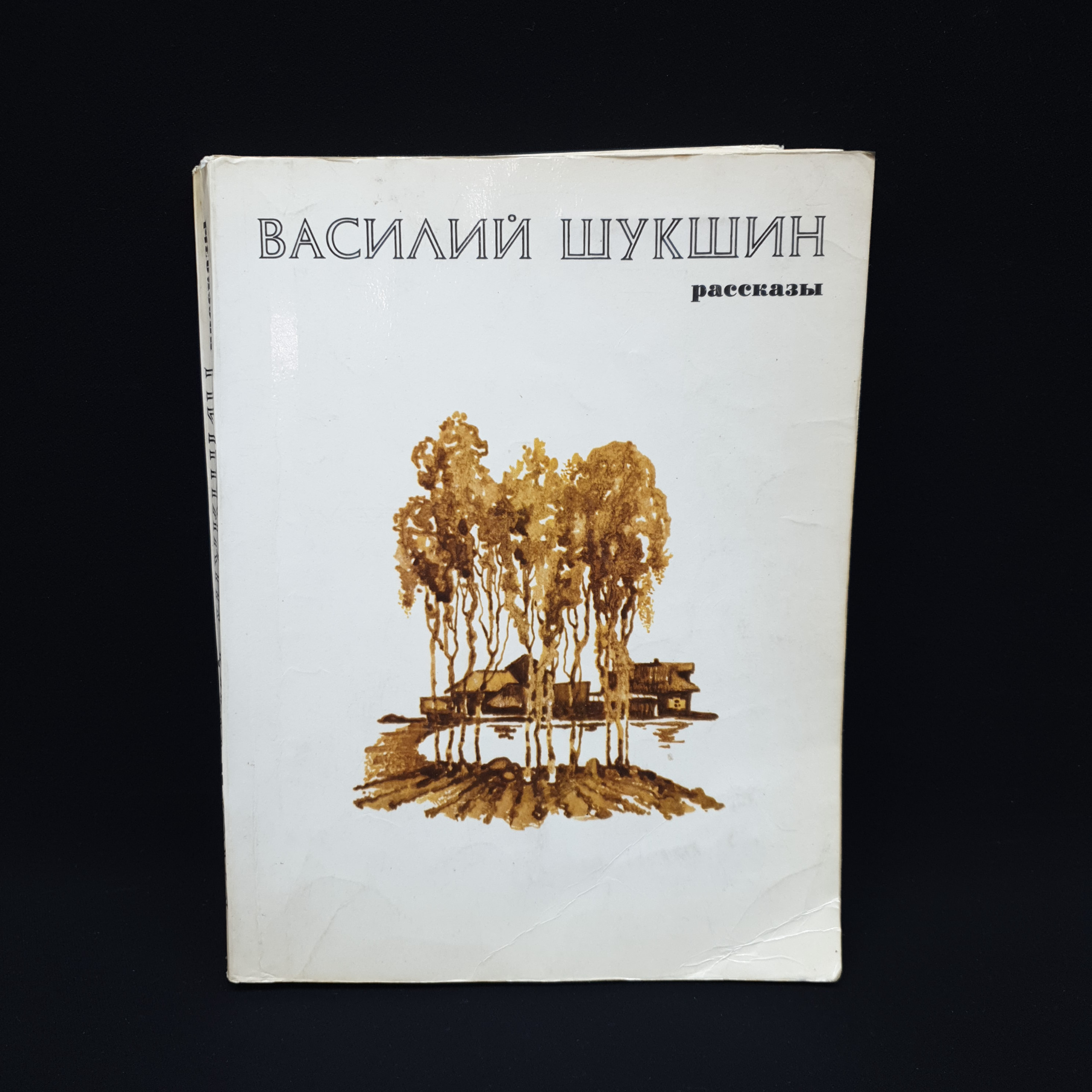 Картинка 1
