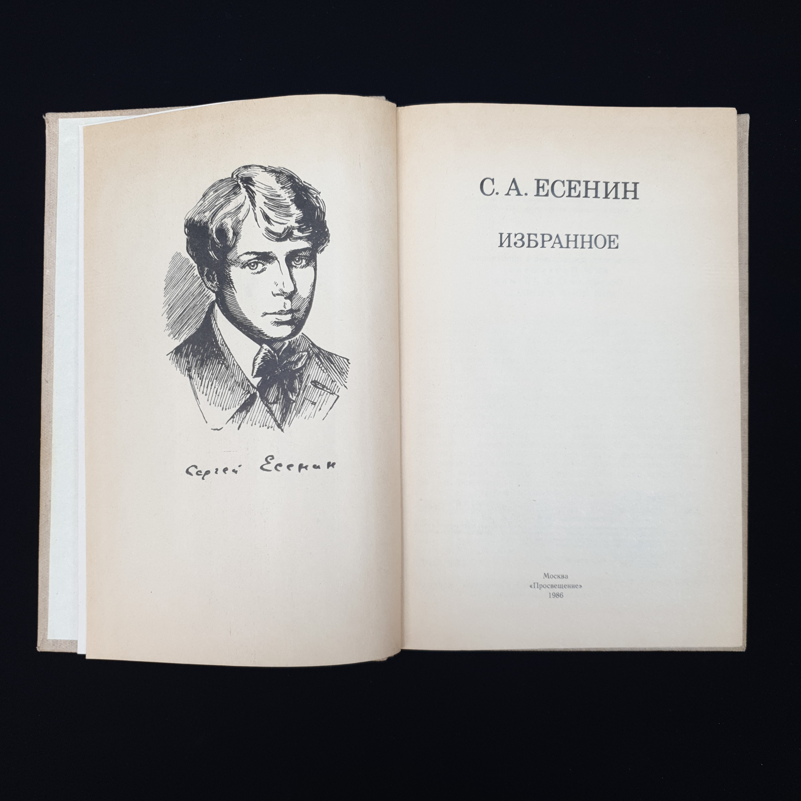 Картинка 4