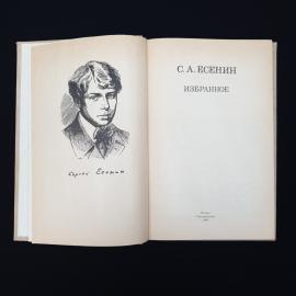 Картинка 4