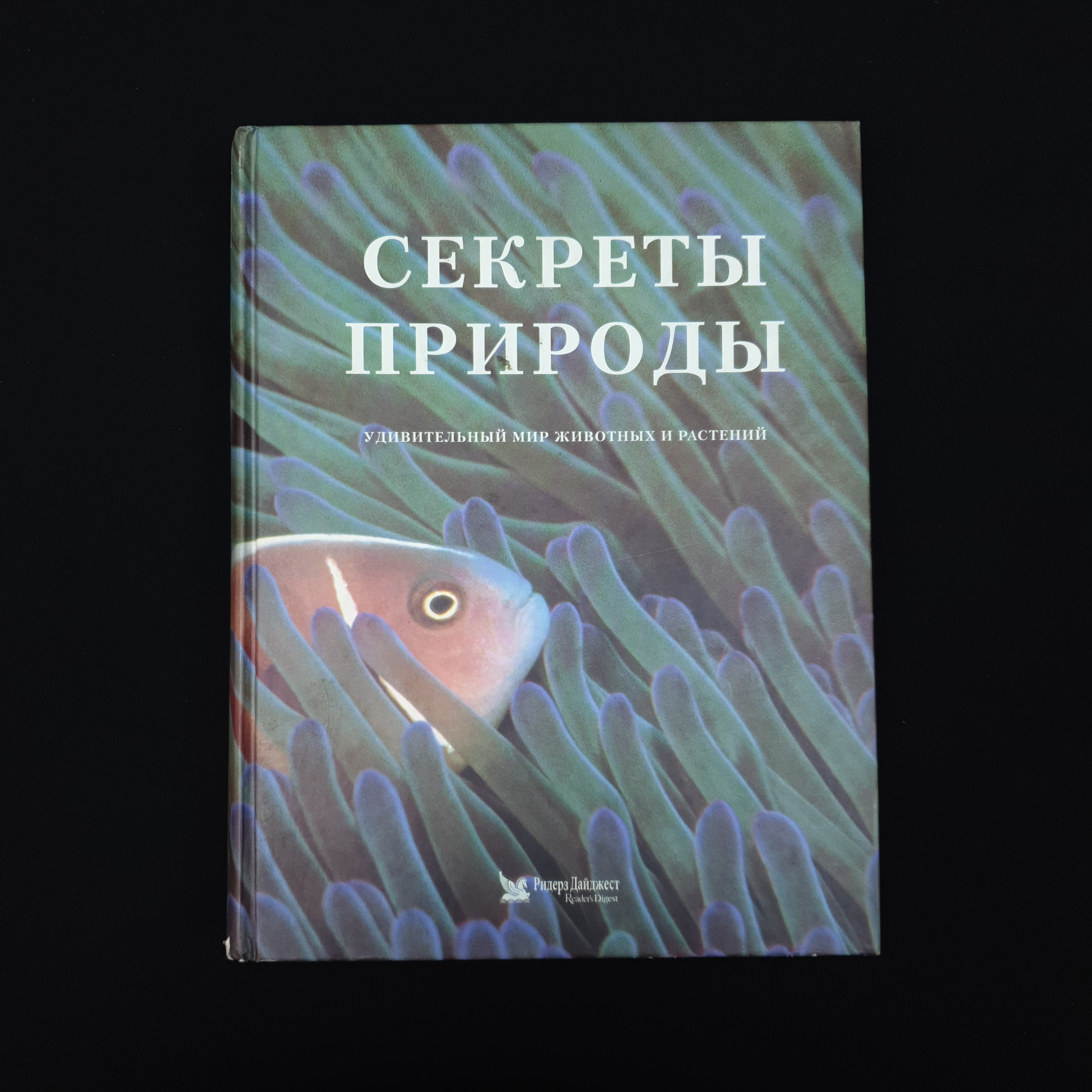 Картинка 1