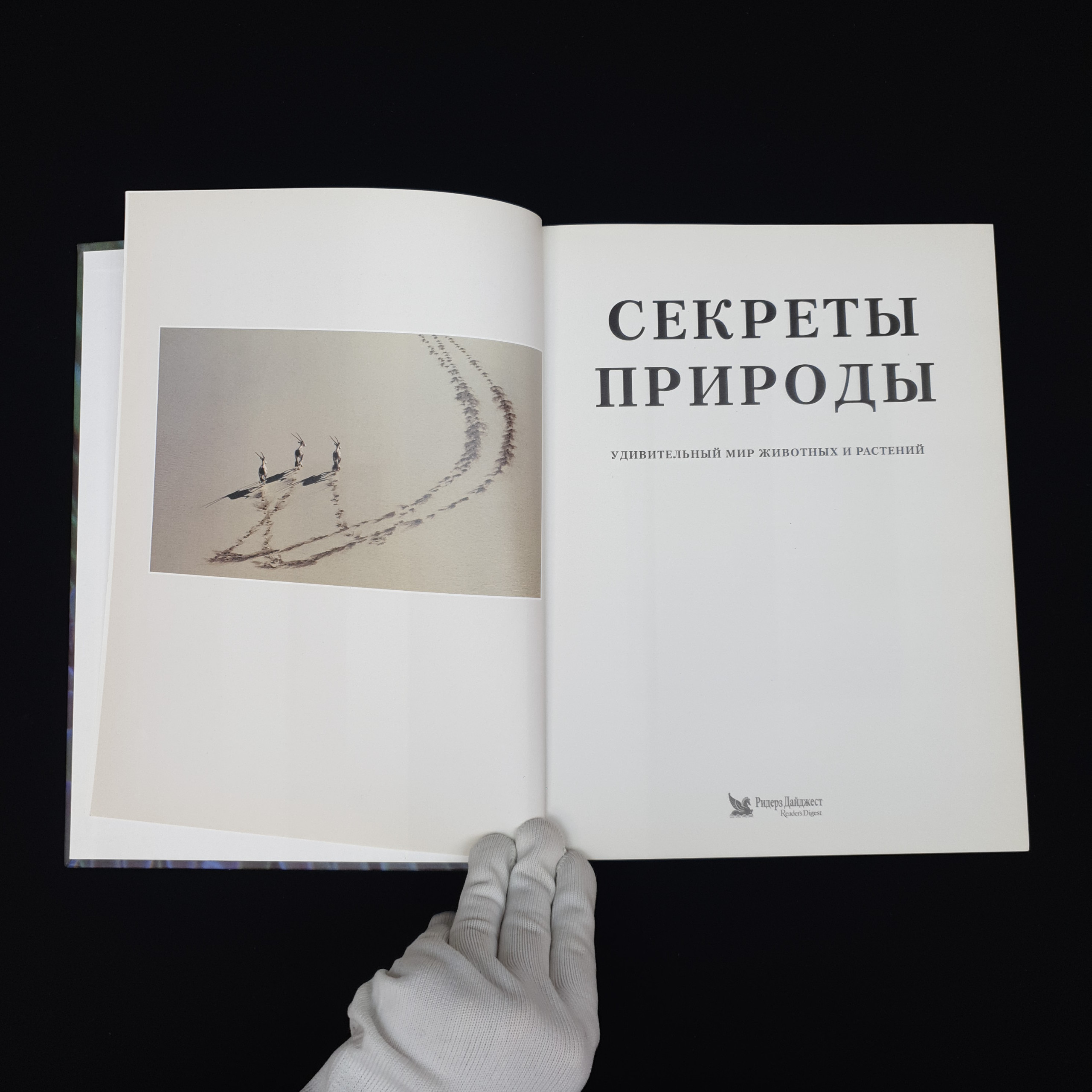Картинка 4